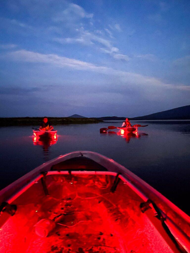 moonlight kayak tour