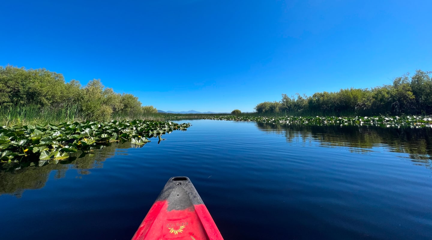 kayaking tours near portland oregon