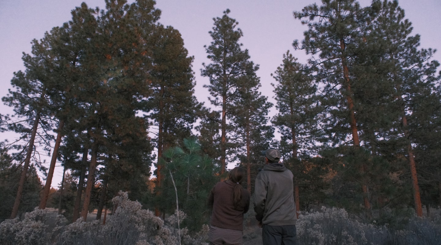 outdoor walking tours near crater lake