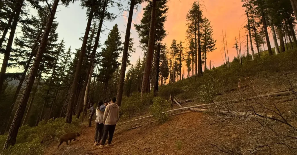 crater lake zipline guided night hike tour