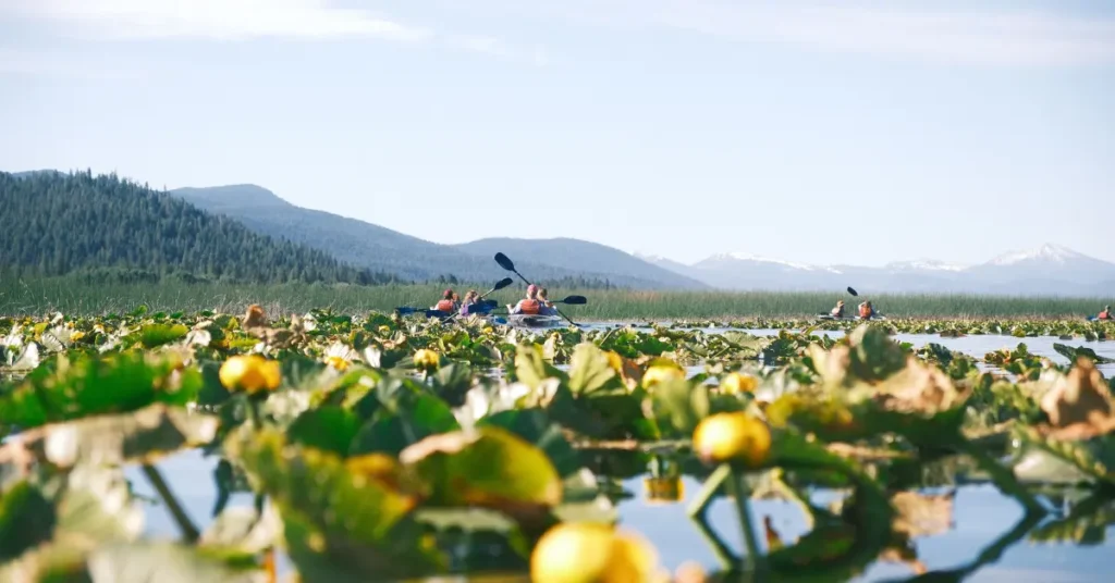 family kayaking klamath lake
