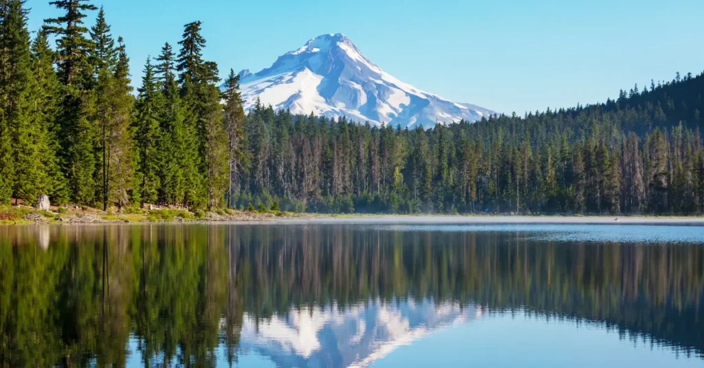 mount hood national forest