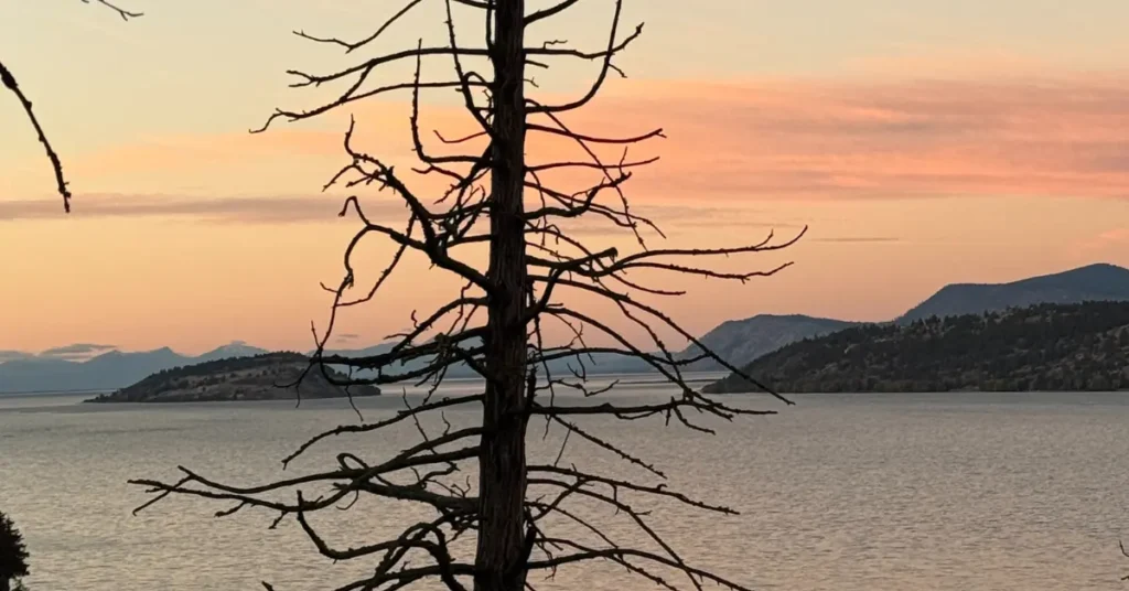 upper klamath lake